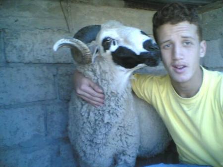 amine  36